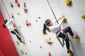 麦克·皮耶萨作为低顺位新秀奇迹崛起，成为史上进攻火力最强的捕手之一