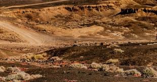 MLB先发投手退场时机选择